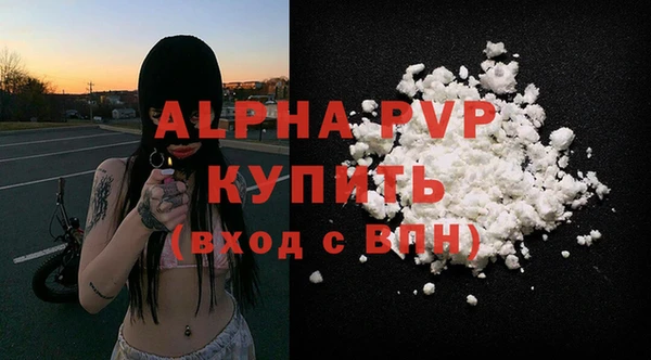 стафф Алексин