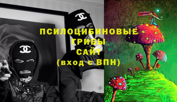 стафф Алексин