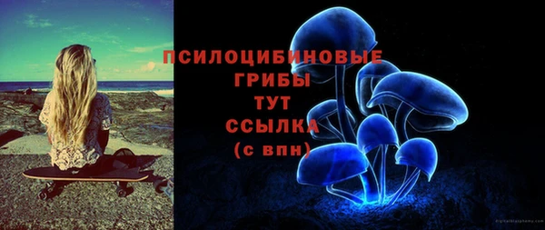 стафф Алексин