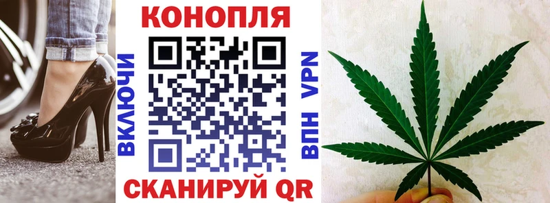 Шишки марихуана Amnesia Тайшет